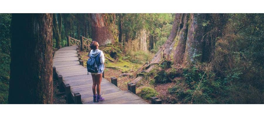 Young woman on a wooden footbridge looking in awe at the trees