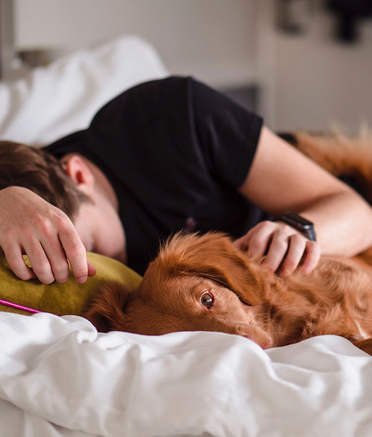 College student taking a power nap with his dog