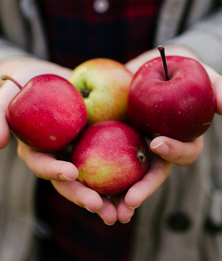 Woman's hands holding 4 fresh apples