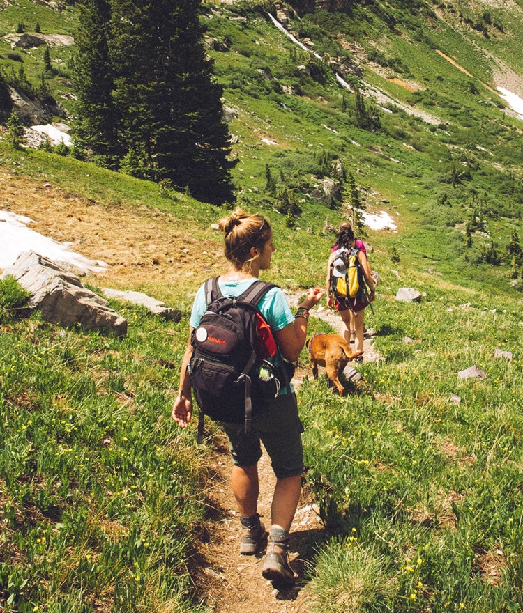 Three friends and a dog hiking through hilly terrain