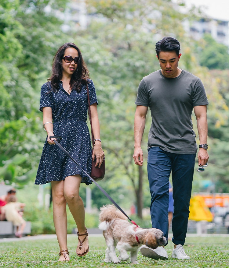 Couple walking their dog in the park