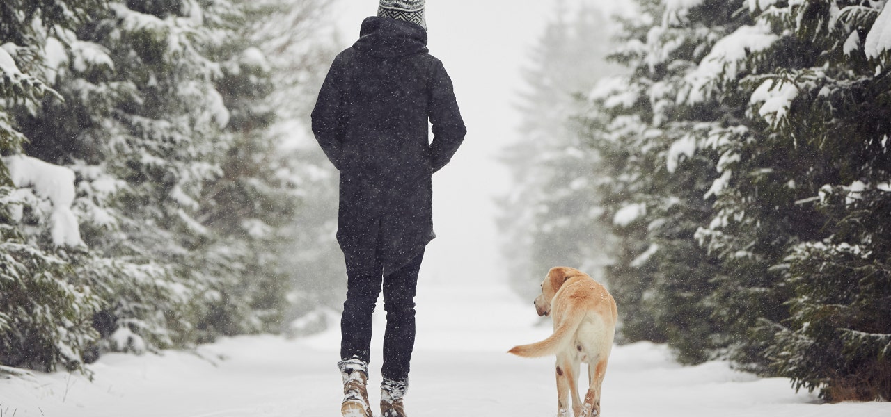 A person and their dog walking outside in the snow