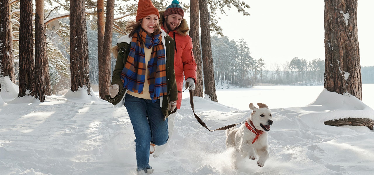 A couple enjoying a snowy hike with their dog